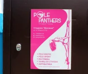 студия танца и спорта на пилоне pole panthers изображение 1 на проекте lovefit.ru